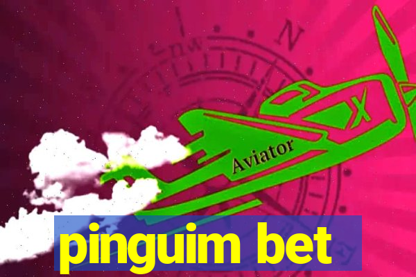 pinguim bet